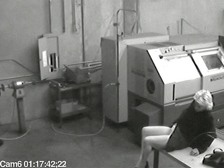 Security Cam Chronicles 5