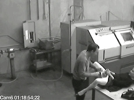 Security Cam Chronicles 5